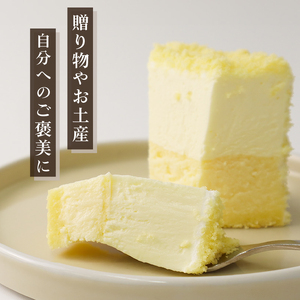二層の贅沢チーズケーキ チーズケーキ チーズケーキ チーズケーキ 父の日 J88_02