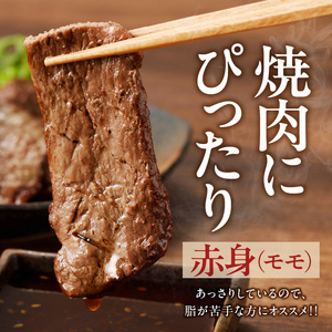 【牛肉】筑後 船小屋牛 赤身焼肉（モモ）500g【福岡県産】_赤身 モモ 牛肉 国産 福岡県産牛 500g 焼肉 船小屋牛 ジューシー 程よい脂 あっさり 冷凍配送 お肉 赤身肉 牛モモ モモ肉 国産牛 バーベキュー よしおか総本店株式会社 お取り寄せ お取り寄せグルメ 福岡県 久留米市 送料無料 〔Ab034〕