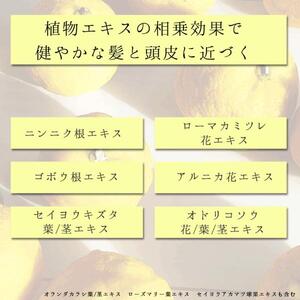 柚子とお米で感じるほのかな和　栃木の柚子　トリートメント(300ml×1本) ns047-005