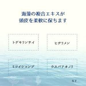 柚子とお米で感じるほのかな和　栃木の柚子　ヘアエッセンス(100ml×1本) ns047-006