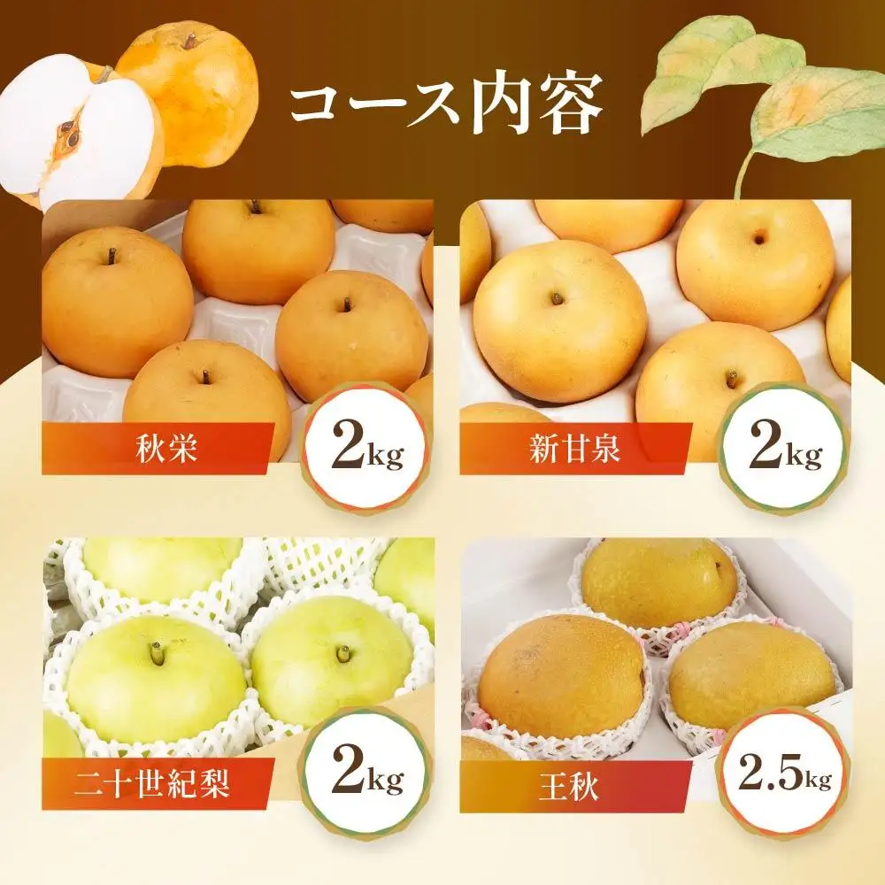数量限定【定期便】鳥取県産 梨の食べ比べ 4種類コース|梨