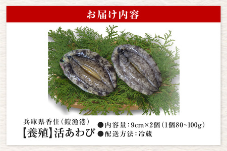 活あわび 養殖 9cm×2枚 160～200g (1個80～100g）あわび アワビ 20-11