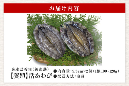 活あわび 養殖 9.5cm×2枚 200～240g（1個100～120g） あわび アワビ 20-12