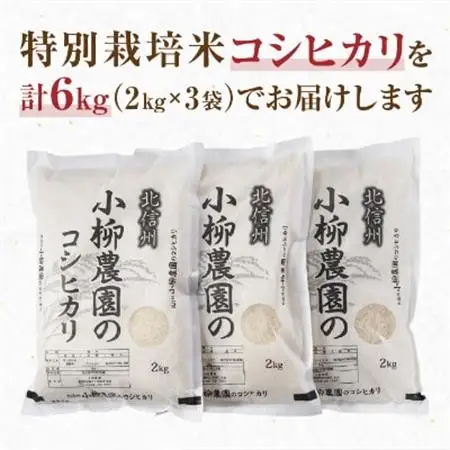 小柳農園の特別栽培米コシヒカリ6kg(2kg×3)【1204249】