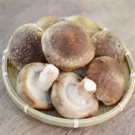 キノコでカラダを整える!新鮮きのこ詰め合わせ 小(5種類以上/7パック以上)【配送不可地域：離島】【1330946】