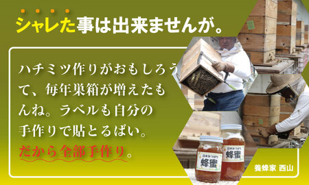 はちみつ 日本蜜蜂 百花蜜 1,000g C210-014 はちみつ 国産