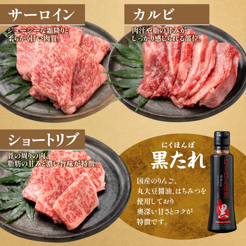 数量限定】宮崎牛9種盛り焼肉セット(各600g×3P)_MM-31-006-1800g_(都