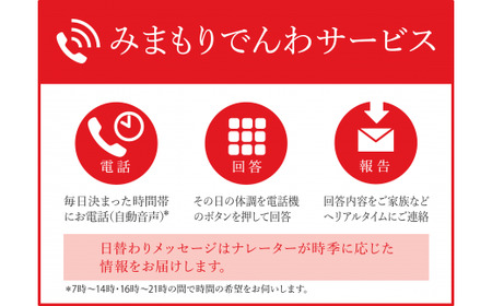 みまもり訪問サービス（12ヶ月）