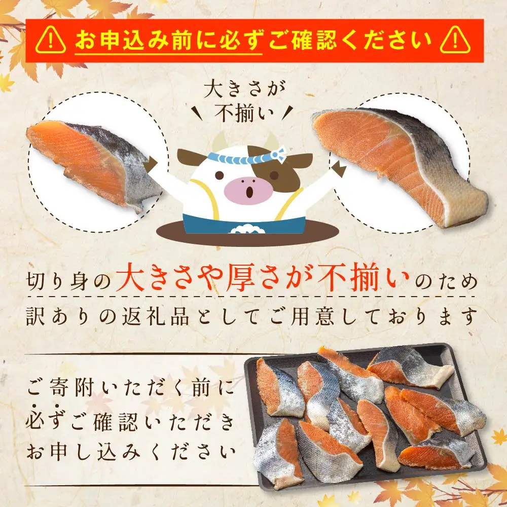 【訳あり】「秋鮭の切り身（無塩）」2.8kg 【BT000SG01】鮭 切り身 北海道