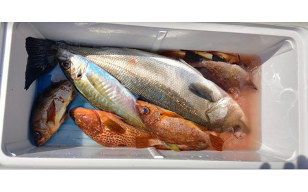 元魚屋の船長がご案内！ 船釣り体験チケット（10,000円分利用券）