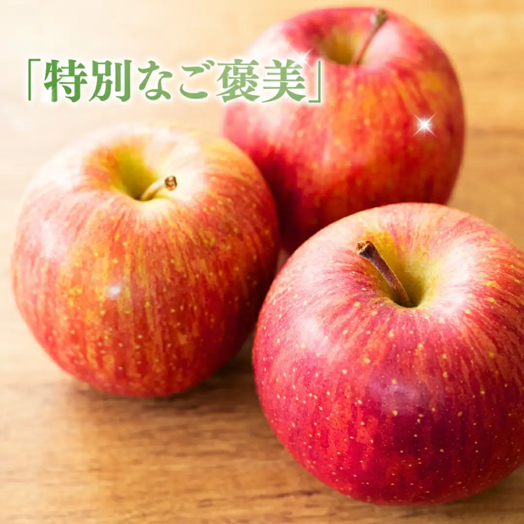【2026年先行予約】りんご シナノドルチェ 6~11玉 約3kg|シナノドルチェ
