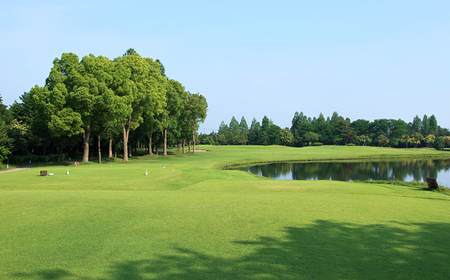 鴻巣カントリークラブ ゴルフプレー利用券D（プレー補助利用券） No.218