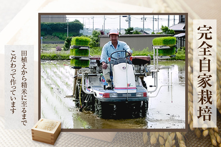 ちたもんプレミアム滝蔵 720ml 1 本 酒 日本酒 純米酒 知多のお酒 若水 滝蔵 贈答 ギフト 父の日 敬老の日 贈り物 ギフト プレゼント 宅飲み 家飲み 晩酌 おうち時間 アルコール飲料 お取り寄せ 愛知県 知多市