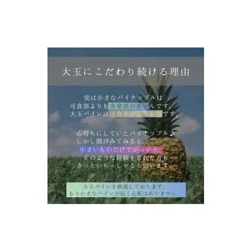 大玉ピーチパイン 6玉 約6.0kg
