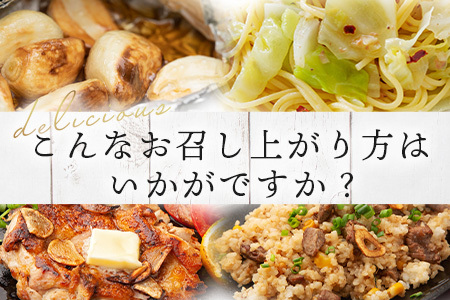 【数量限定】元気、活力、健康の源に！！佐賀県鹿島市産　こだわり乾燥にんにく　500g（100g×5袋）　A-181