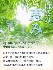 ＜先行予約＞白桃 秀品 3kg 【8月上旬～9月上旬発送】 品種おまかせ 山形県 朝日町産 フルーツ 山形産 桃 もも モモ ピーチ 果物 夏