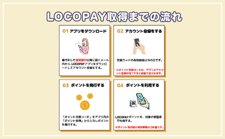 LOCOPAYデジタル返礼ポイント【3,000ポイント】_B167-001