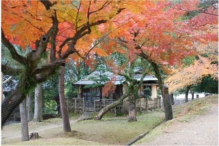 宿泊券 江戸三 1泊2食付宿泊券（2名様1室） チケット 奈良公園 C-37