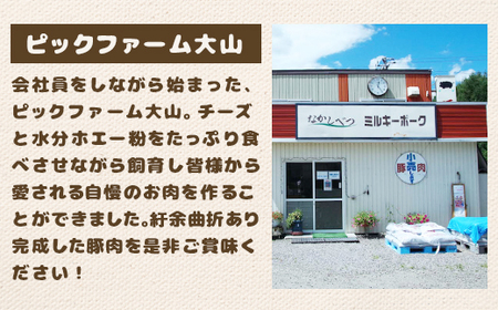 ミルキーポークのハンバーグとバラエティセット（ハンバーグ・餃子・ソーセージ 計24個）【1500802】