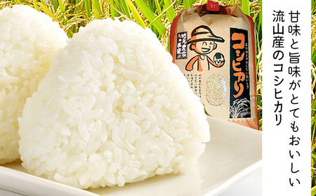 【毎月定期便3回】令和7年産 コシヒカリ 米 10kg《お申込み翌月から出荷》 有機肥料 7分搗き