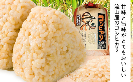 【毎月定期便2回】令和7年産 コシヒカリ 米 10kg《お申込み翌月から出荷》 有機肥料 玄米