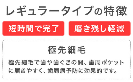 歯ブラシ イオン歯ブラシ 極細替えブラシ セット レギュラー ふつう 青 24本入り (2本×12P)