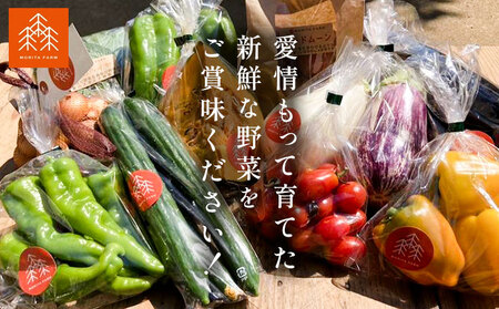 野菜 農家直送 新鮮 野菜 セット ラージサイズ 11～13品 森田農園 | 野菜セット