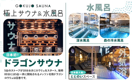 サウナ 天然温泉 スパメッツァ ご入浴券 土日祝日も使用可能 1枚 | 温泉