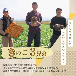 きのこ3種セット 計960g ジャンボまいたけ 500g なめこ 180g×2 きくらげ 100g【北海道きのこ品評会 最優秀賞受賞】【遠藤農産】きのこ キノコ セット 詰め合わせ 舞茸 滑子 木耳 国産 北海道産 北海道 比布町 ぴっぷ 1002-002