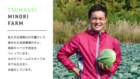 つまごいアイス キャベツ アイス 花豆 アイス 各3個 合計6個セット [AV003tu]
