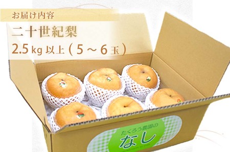 美祢市秋芳町産 二十世紀梨 （5~6玉）【先行予約：9月より発送予定】