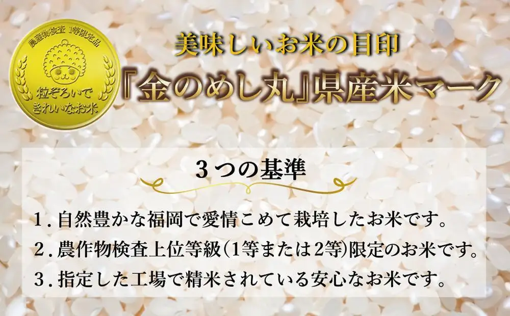 令和7年米 福岡県産 米 【無洗米】金のめし丸夢つくし 5kg | 無洗米 5kg お米 こめ 白米 ライス ブランド米