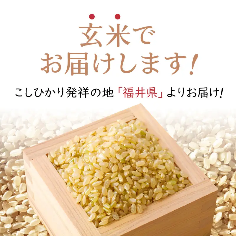 【先行予約】令和8年産 新米  幻のもち米 タンチョウ もち米 1kg（玄米）【10月中旬以降発送】 [e35-a058]