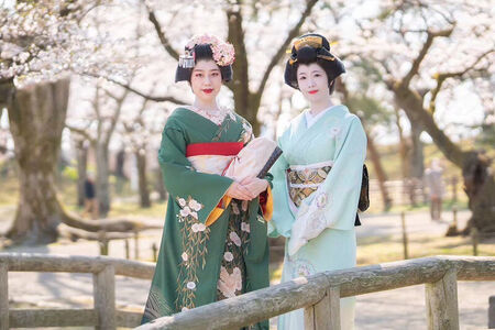 あきた舞妓と街歩きプラン 1グループご招待(2～9名様)  ゆうパケット発送