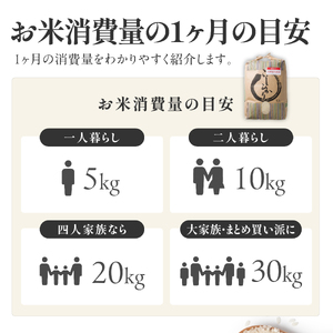 コシヒカリ 10kg 白米 令和７年産 精米 白米【スピード発送】