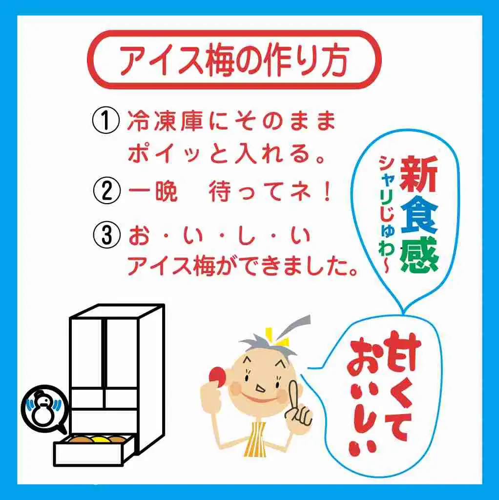 紀州産南高梅紀州アイス梅 9粒入り tnht001A【tnht001A】