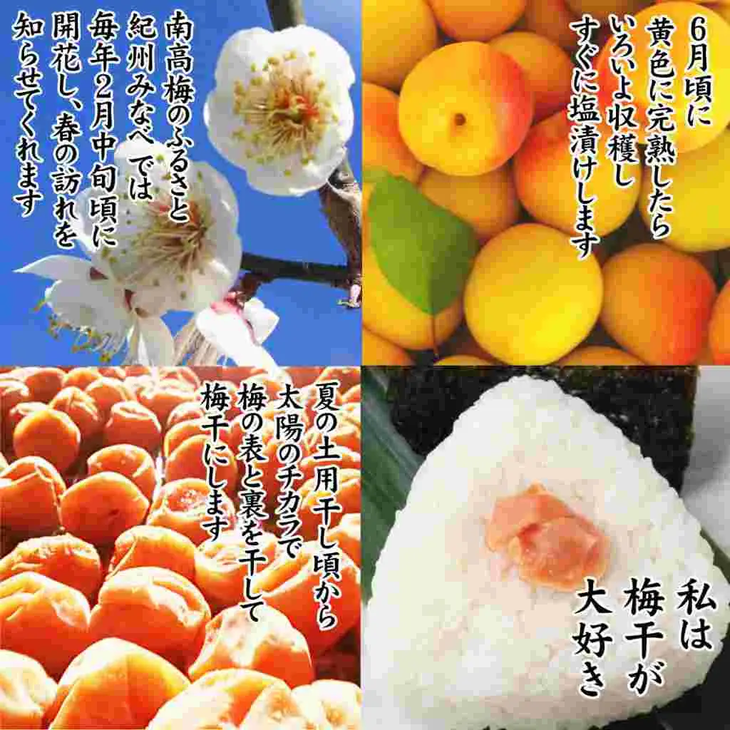 紀州産南高梅 つぶれ梅 はちみつ味 減塩1.5% 270g  3個入り tnht005A【tnht005A】