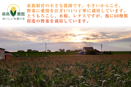 【期間限定発送】【糖度平均18度以上】とうもろこし 朝どれミラクルスイートコーン「味来」5kg箱 10～13本 [桑高農園 静岡県 吉田町 22424254]