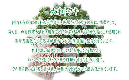 AA-96.【なでしこ気分を高めて】大和当帰　和漢化粧水　150ml