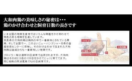 AA-57.【パパッと揚げてビールをグビッと】大和地鶏 黄金のからあげ 1kg