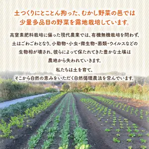  むかし野菜の邑　大分市産直　自然栽培の野菜セット F01005