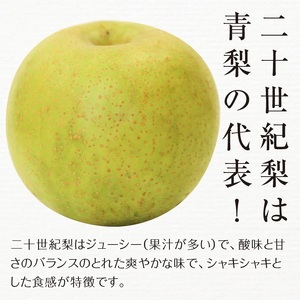 FKP9-687 【先行予約】二十世紀梨（廿世紀梨）約2.5kg