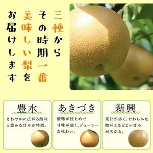 FKP9-686 【先行予約】一勝地梨 約2.5kg