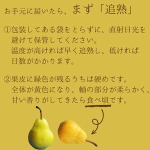 【発送月固定定期便】旬のフルーツセット シャインマスカット約1.8kg/ル・レクチェ約3kg 全2回