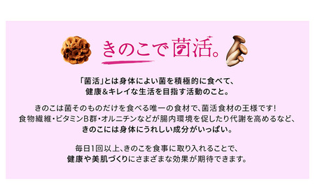 ホクトのエリンギまるごと使った菌活・贅沢カレー 5個セット 