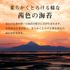 [福岡有明のり]有明海苔 味海苔 大丸ボトル10切80枚6本セット 味海苔【015-0013】