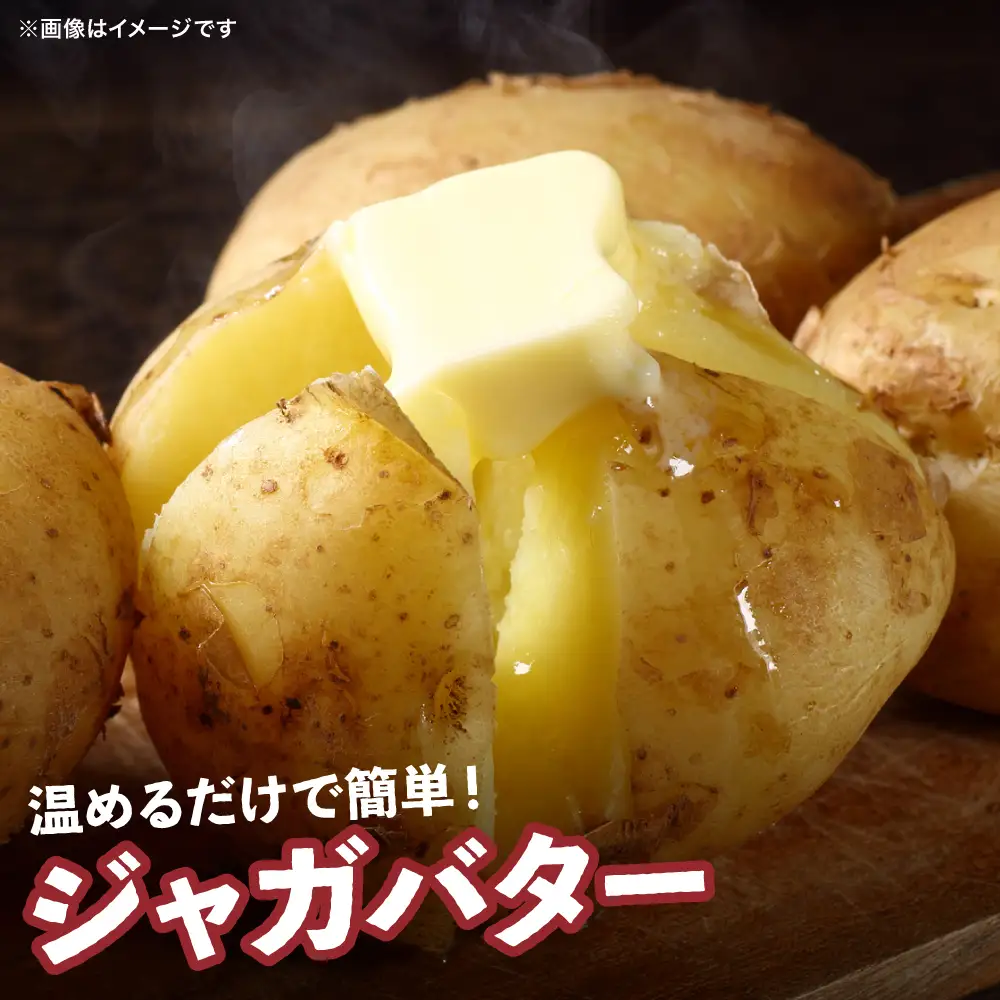 熊本県 八代市産 潮風薫る 新じゃがいも (メークイン) 10kg ジャガイモ メークイン 新じゃが カレー 肉じゃが 炒め物 野菜 芋 熊本県 八代市