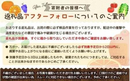 みかん 有田みかんプレミアム 約2kg【光センサー 高糖度選別品】2S～Lサイズ みかん 【nuk154G】