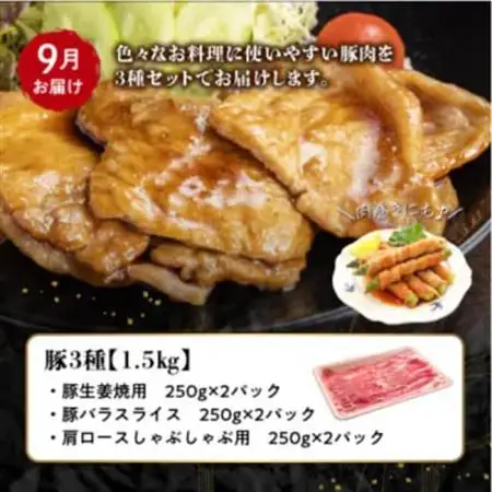 【発送月固定定期便】鹿児島県産 カミチク豚 定期便(南九州市)全4回【配送不可地域：離島】【4081547】