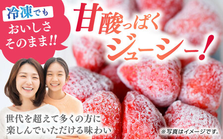 冷凍 いちご ゆうべに 約4kg【熊本ベリー】[ZER015]